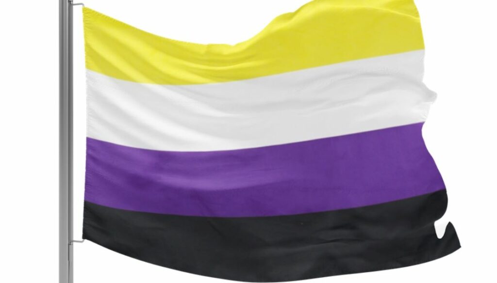 Drapeau Non-Binaire