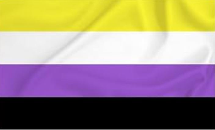 Drapeau Non-Binaire