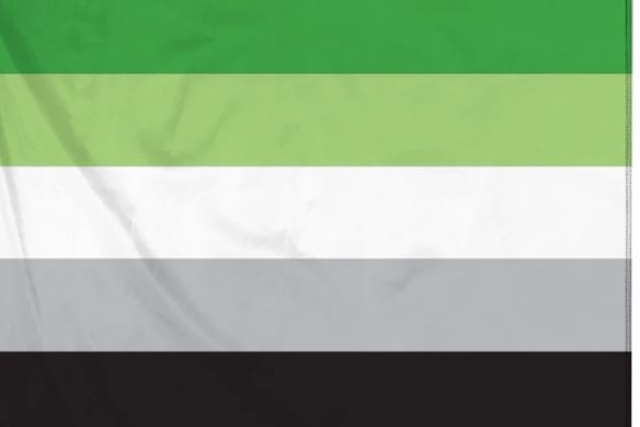 Drapeau Aromantique
