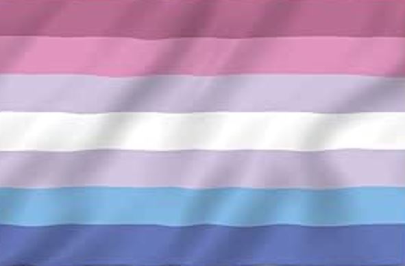 Drapeau Bigender