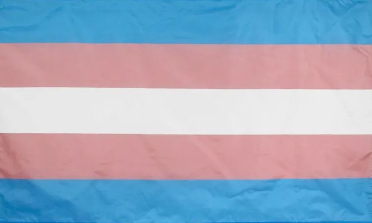 drapeau transgenre